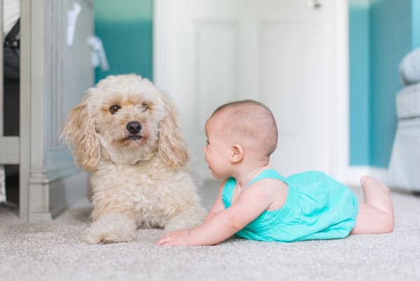 The benefits of hiring a professional carpet cleaning service